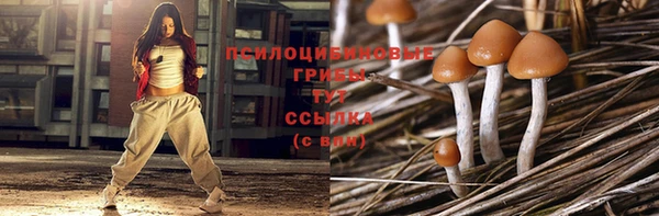 PSILOCYBIN Алексеевка